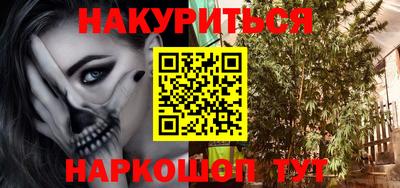 индика Долгопрудный
