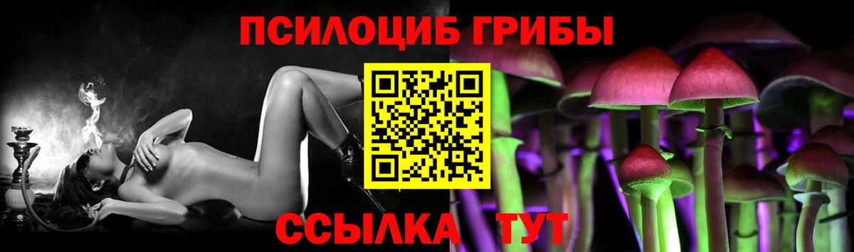 Псилоцибиновые грибы прущие грибы  где купить наркотик  Балашиха  Вход с VPN  Псилоцибиновые грибы Cubensis 